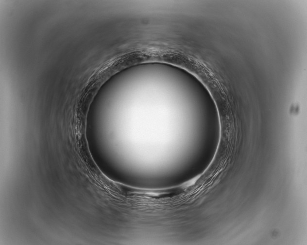 X0000099581253200805161227