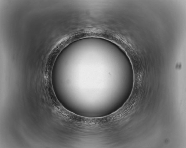 X0000099581254200805161227