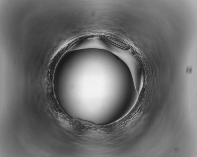 X0000099581256200805161227
