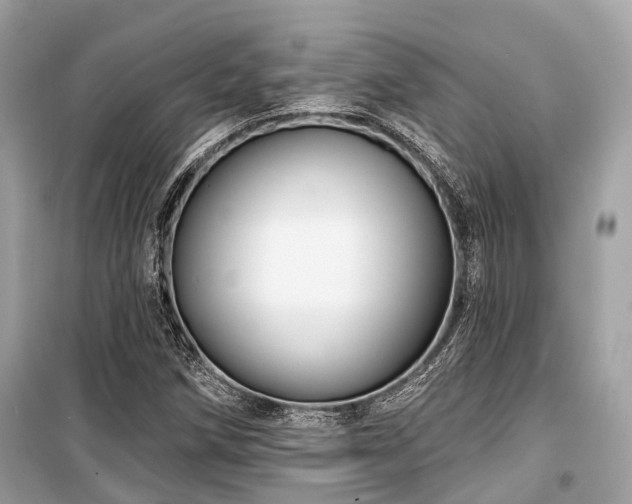 X0000099581258200805161227