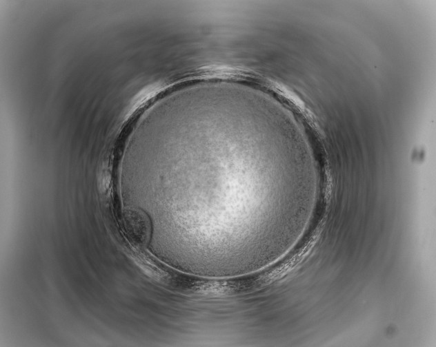 X0000099581259200805161227