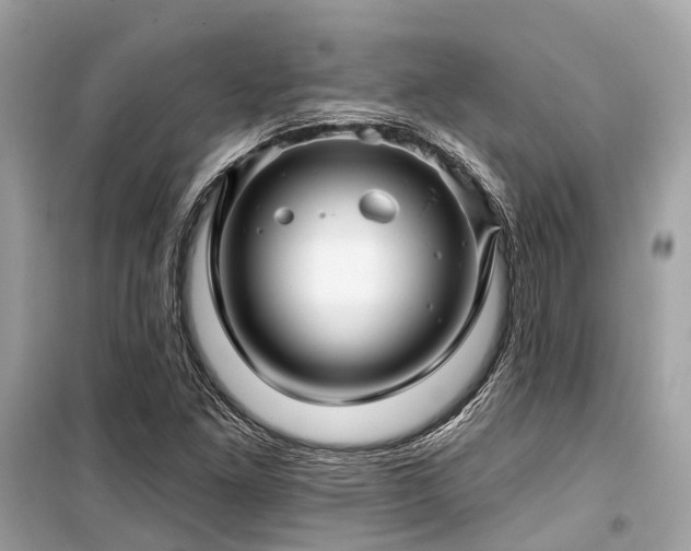 X0000099581261200805161227