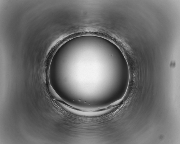X0000099581262200805161227