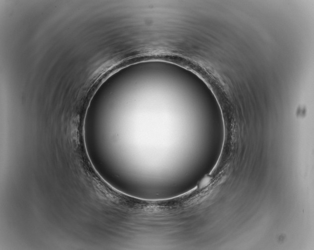 X0000099581265200805161227