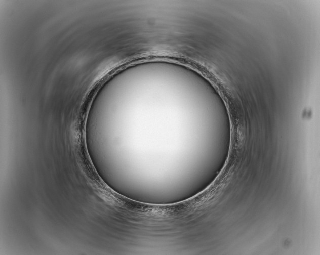 X0000099581266200805161227