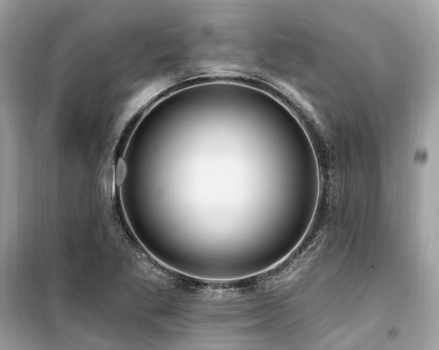 X0000099581269200805161227