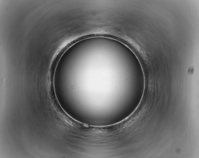 X0000099581270200805161227