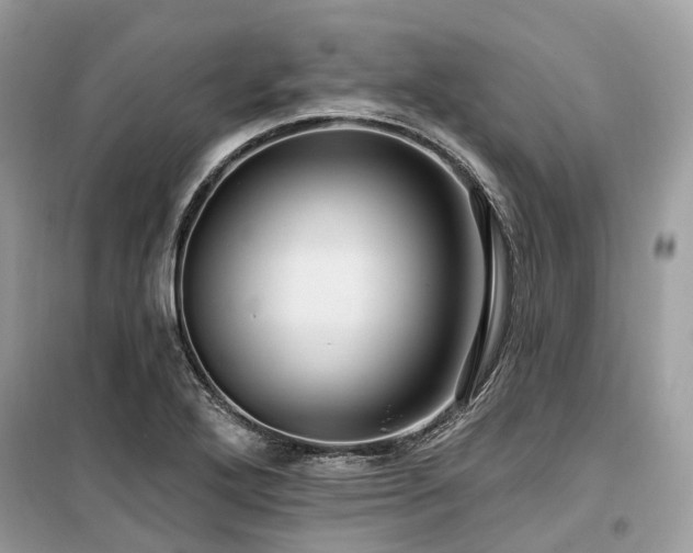 X0000099581272200805161227