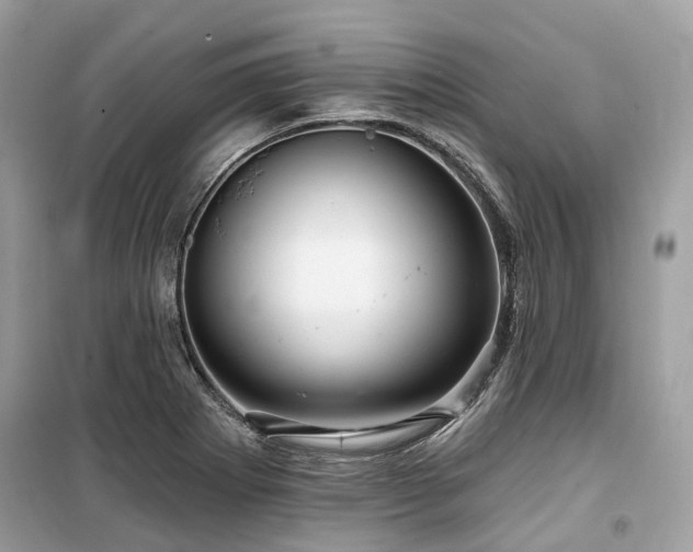 X0000099581273200805161227