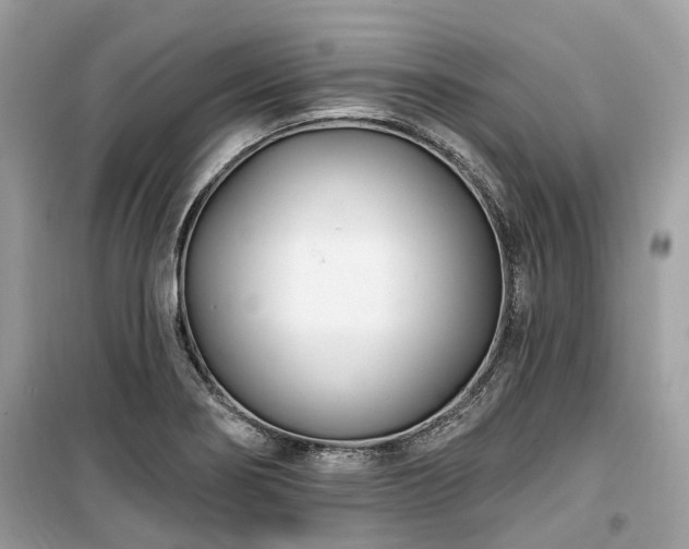X0000099581274200805161227