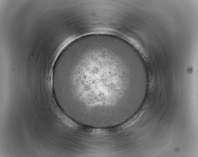 X0000099581275200805161227