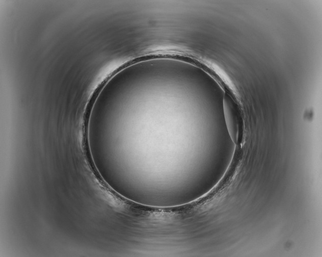 X0000099581277200805161227