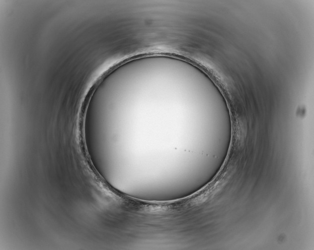 X0000099581278200805161227