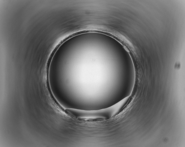X0000099581280200805161226