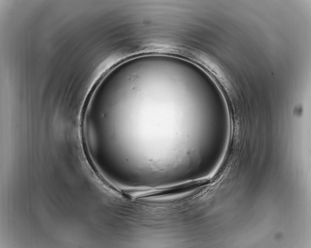 X0000099581283200805161226