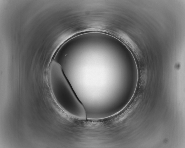 X0000099581284200805161226