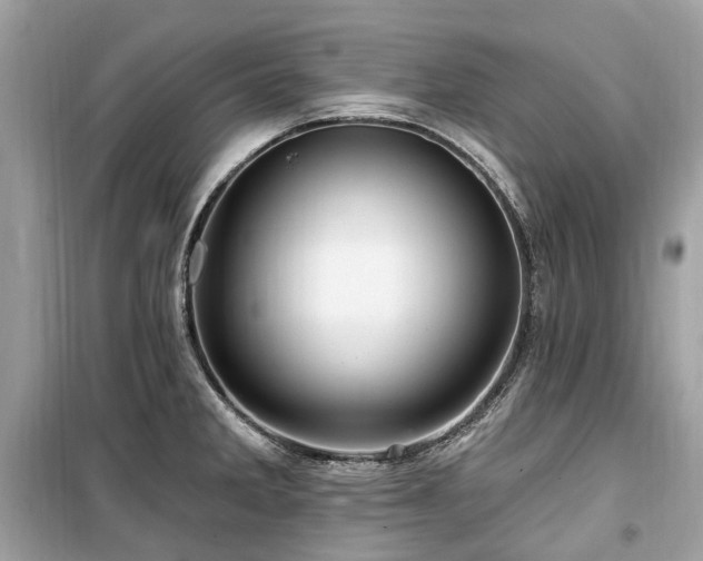 X0000099581285200805161226