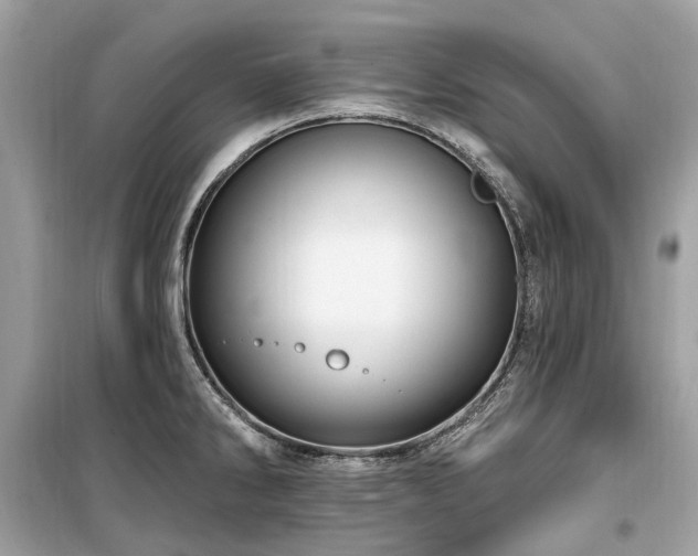 X0000099581286200805161226