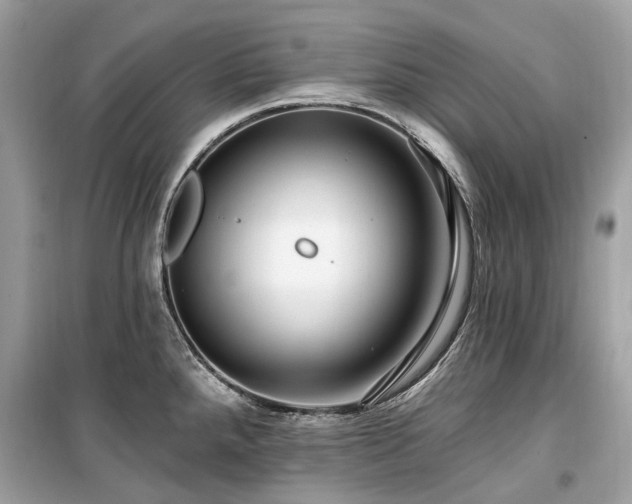 X0000099581288200805161226