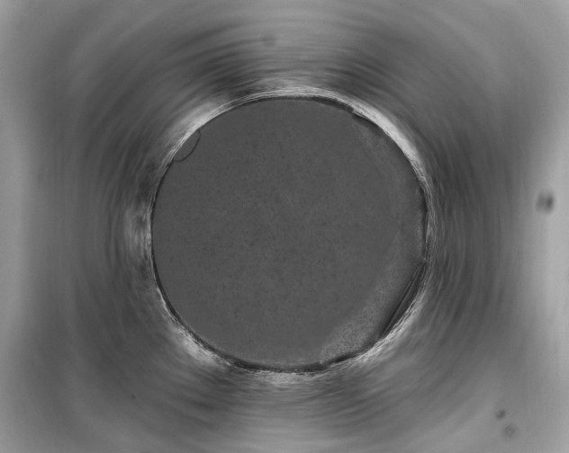 X0000099581289200805161226