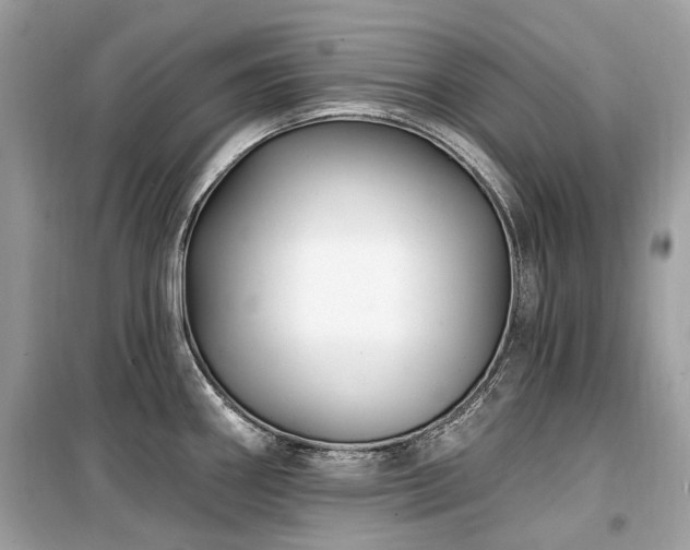 X0000099581290200805161226