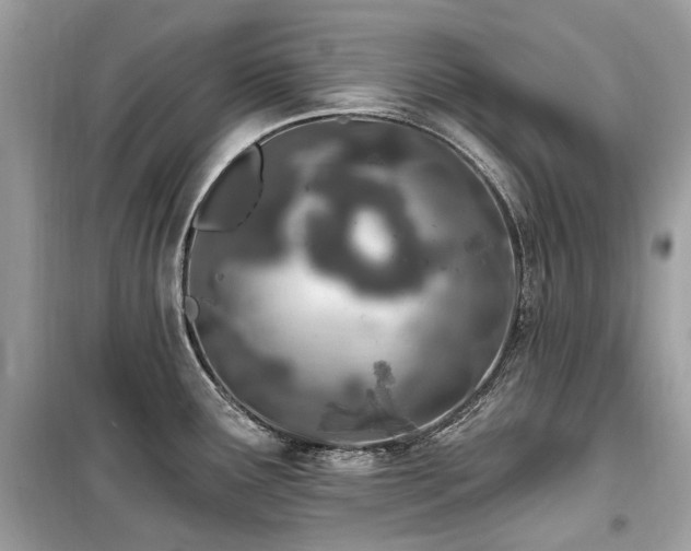 X0000099581291200805161226