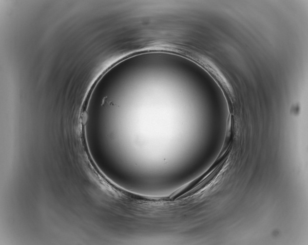 X0000099581292200805161226