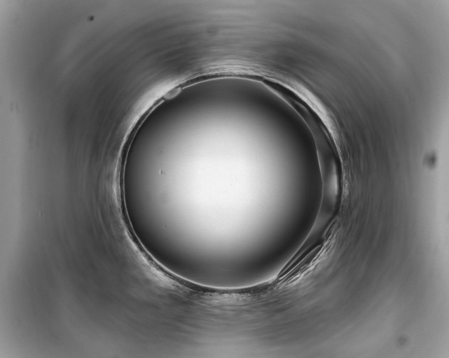 X0000099581293200805161226