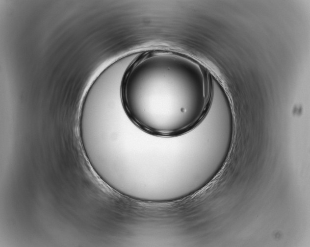 X0000099581296200805161226