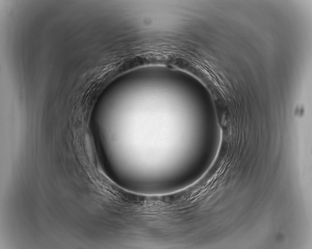 X0000099581297200805161226