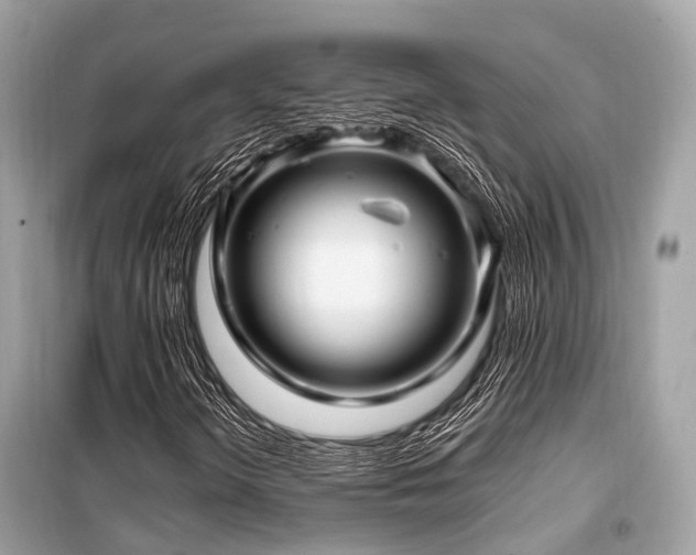 X0000099581298200805161226