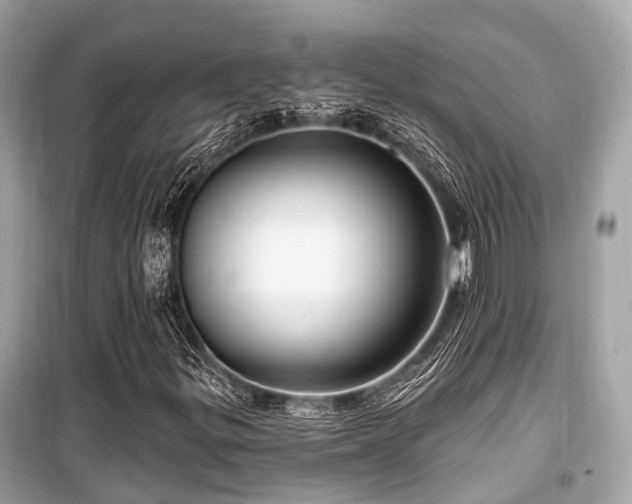 X0000099581299200805161226