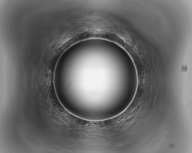 X0000099581301200805161226