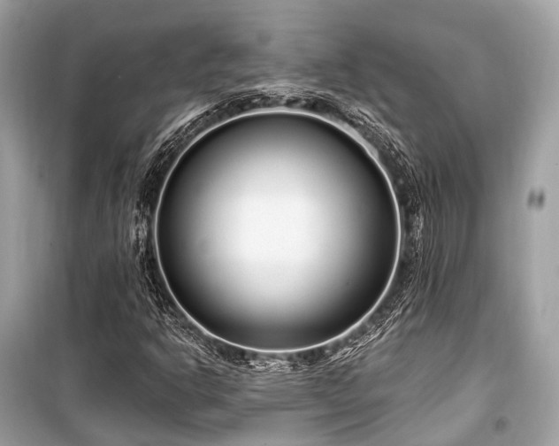 X0000099581302200805161226