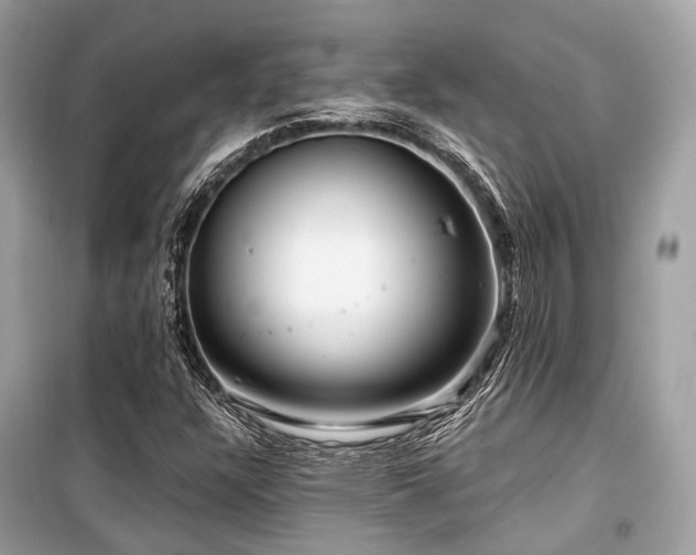 X0000099581304200805161226