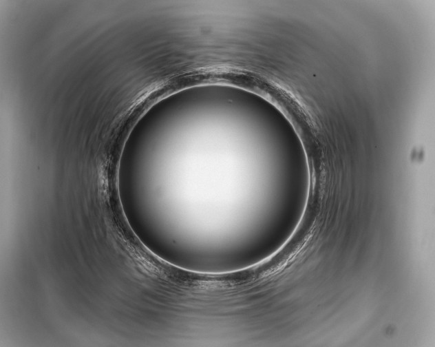 X0000099581305200805161226