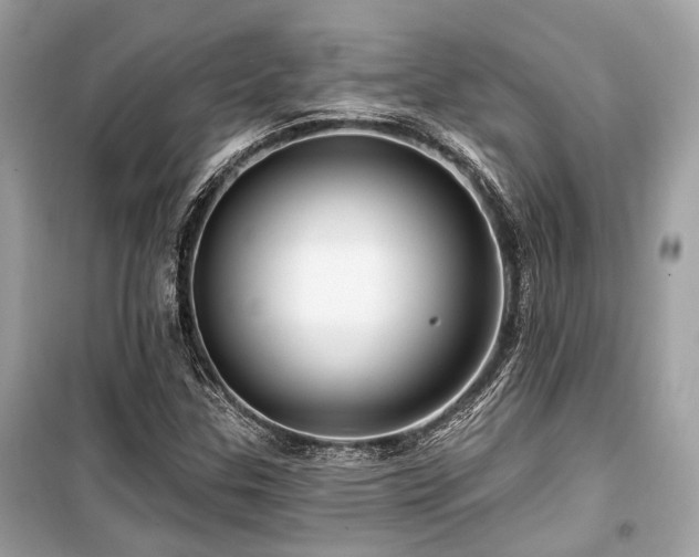 X0000099581307200805161226