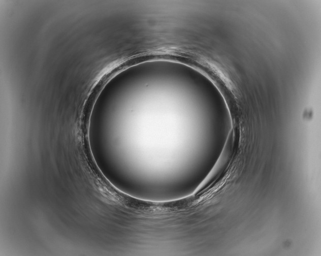 X0000099581308200805161226