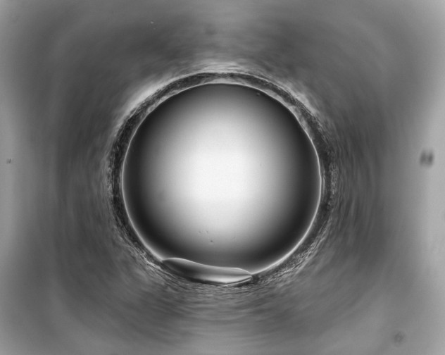 X0000099581311200805161226