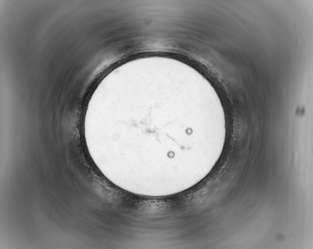 X0000099581314200805161226