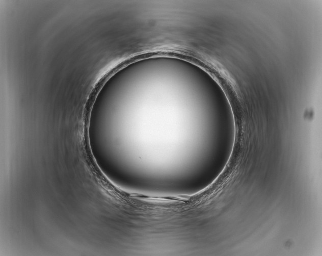 X0000099581316200805161226