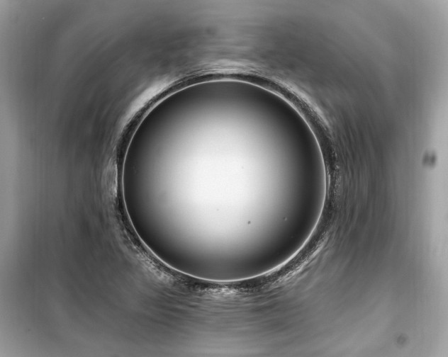 X0000099581317200805161226