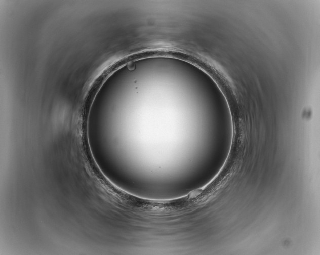 X0000099581318200805161226