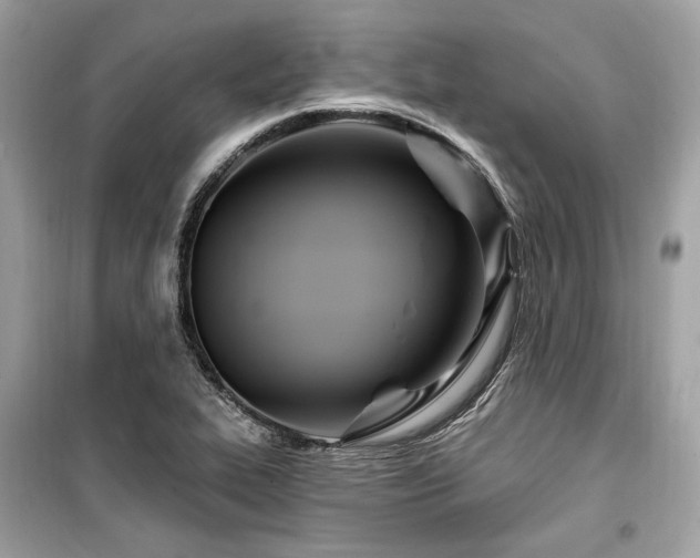 X0000099581319200805161226