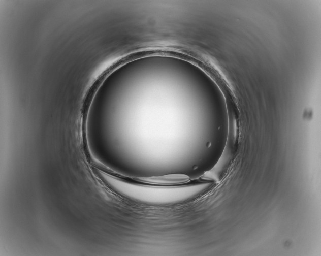 X0000099581320200805161226