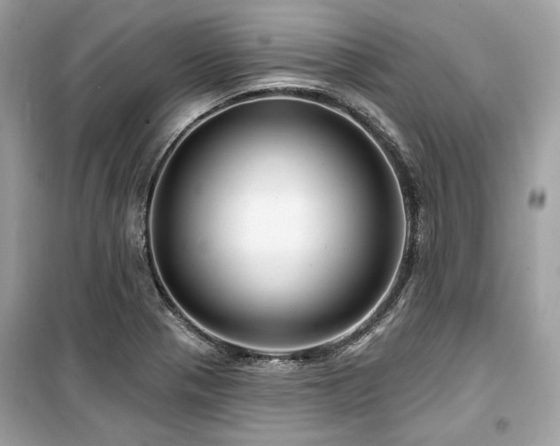X0000099581321200805161226