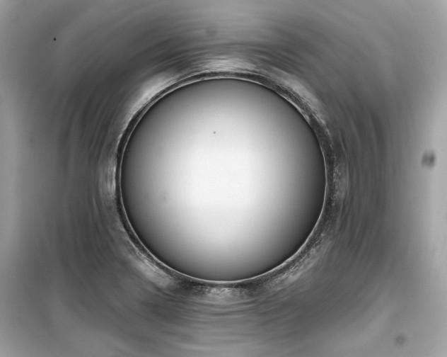 X0000099581322200805161226