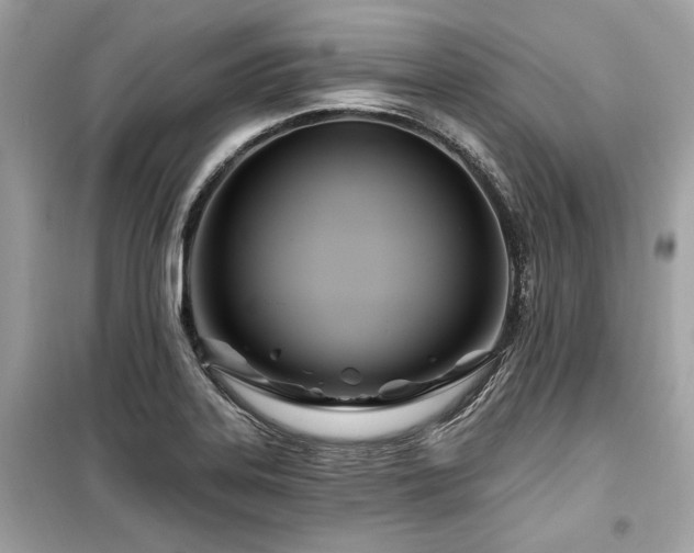 X0000099581323200805161226