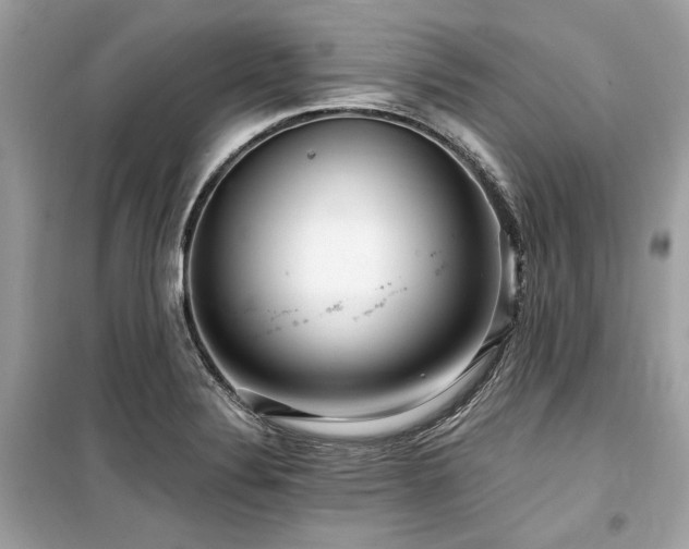 X0000099581324200805161226