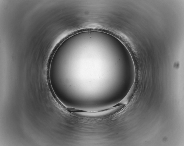 X0000099581326200805161226